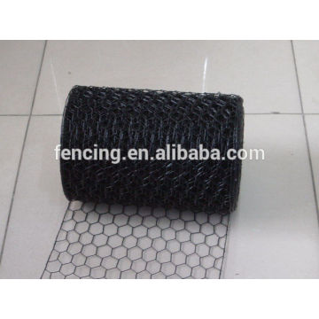 PVC/PE sprayed coating Hexagonal wire mesh, netting for hot sale